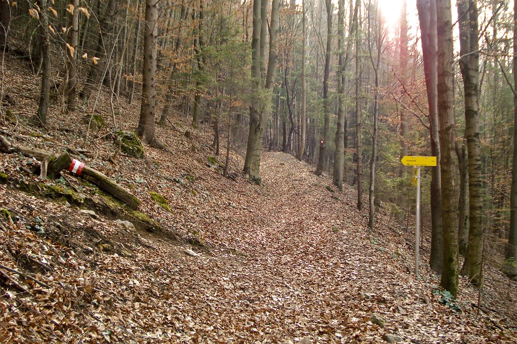 01 Rote Wand Steig Abzweigung zur Drachenhoehle.JPG